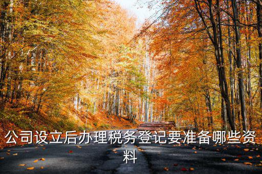 公司設立后辦理稅務登記要準備哪些資料