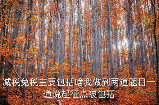 什么是減稅免稅，什么是稅收法定減免