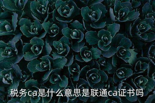 稅務ca是什么意思是聯(lián)通ca證書嗎