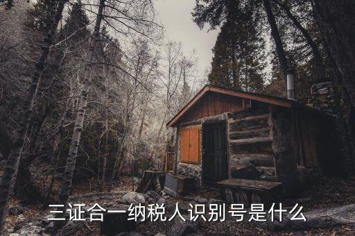 稅號識別號是什么意思，納稅人編碼 納稅人識別號有什么區(qū)別