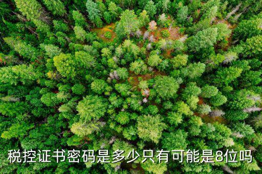 修改稅務(wù)數(shù)字證書密碼是什么，稅務(wù)數(shù)字證書密碼忘記或鎖定如何解決