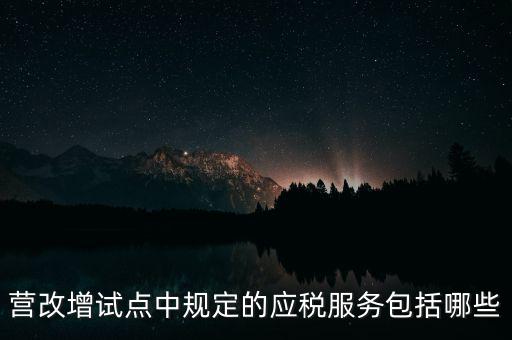 什么是應(yīng)稅服務(wù)，小規(guī)模申報(bào)表中應(yīng)稅服務(wù)什么意思