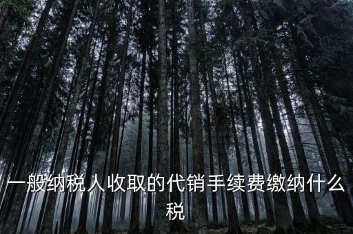 代理服務(wù)費(fèi)交什么稅，一般納稅人收取的代銷手續(xù)費(fèi)繳納什么稅