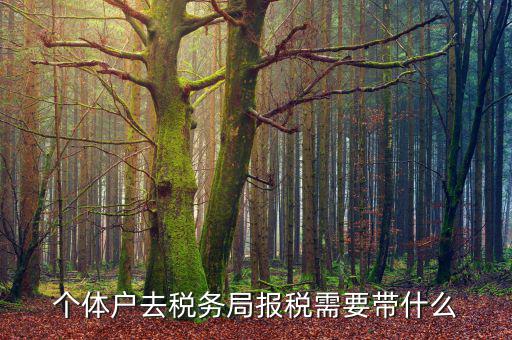 個(gè)體戶定稅需要帶什么意思，個(gè)體戶去稅局交稅都需要帶甚么