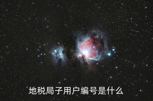 河北地稅的登錄賬號是什么，地稅局網(wǎng)上申報(bào) 用戶名用戶名是什么啊