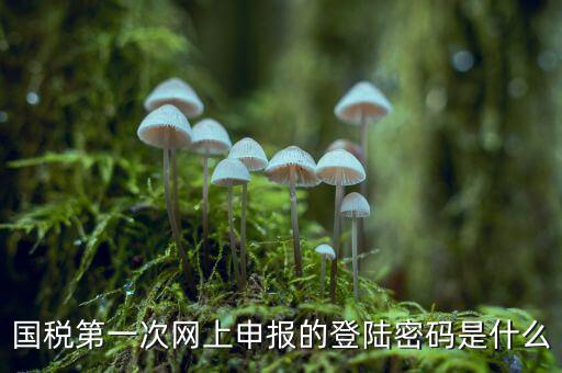 國稅登記密碼是什么，國稅第一次網(wǎng)上申報的登陸密碼是什么