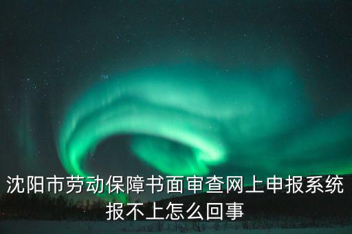 沈陽市勞動保障書面審查網(wǎng)上申報(bào)系統(tǒng)報(bào)不上怎么回事