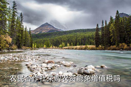 什么是農(nóng)資免征增值稅，小規(guī)模農(nóng)資企業(yè)免增值稅是不是只要有銷(xiāo)售收入就得交附加稅
