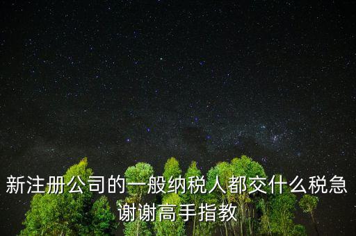 新注冊(cè)公司是什么納稅人，新辦企業(yè)是一般納稅人還是小規(guī)模納稅人