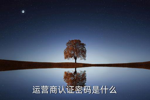 網(wǎng)上認證密碼密碼是什么，一般上網(wǎng)認證系統(tǒng)初始密碼是什么