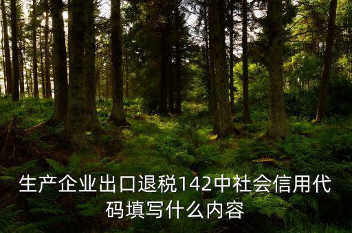 出口退稅系統(tǒng)企業(yè)代碼是什么，進(jìn)出口企業(yè)代碼就是同個(gè)意思嗎
