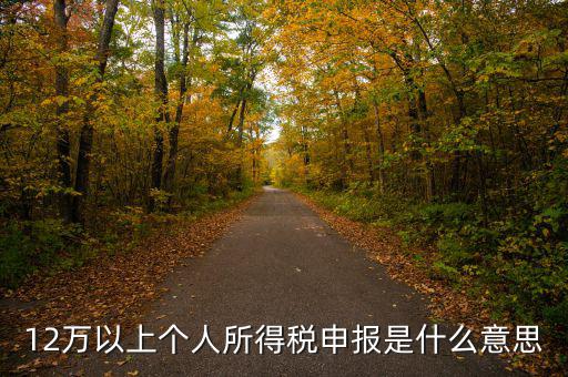申報(bào)個(gè)稅什么意思，個(gè)稅明細(xì)申報(bào)是指什么