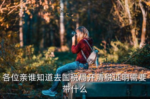 各位親誰知道去國(guó)稅局開清稅證明需要帶什么