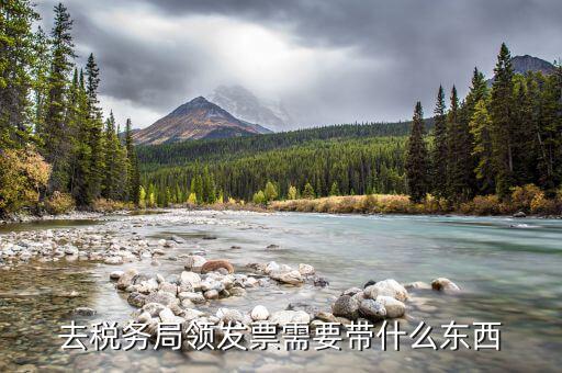 去稅務局領發(fā)票需要帶什么東西