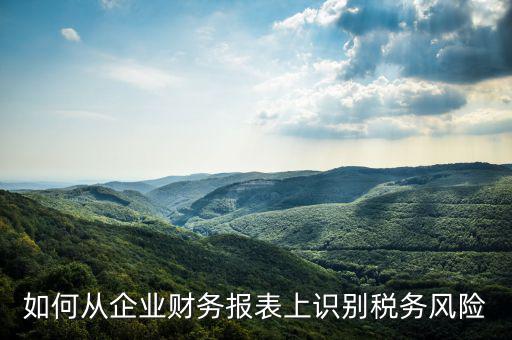 稅務(wù)風(fēng)險核查是什么意思，虛開增值稅專用發(fā)票核查 什么意思