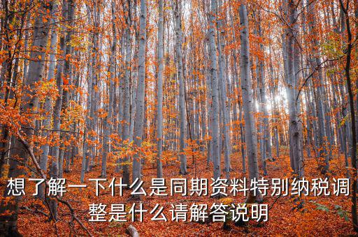 什么是特別納稅調(diào)整監(jiān)控管理階段，想了解一下什么是同期資料特別納稅調(diào)整是什么請(qǐng)解答說明