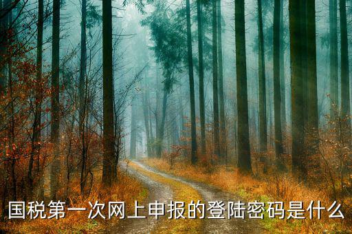 廣州國稅官網(wǎng)登錄密碼是什么，稅務(wù)局網(wǎng)站的登入賬戶初始密碼是什么