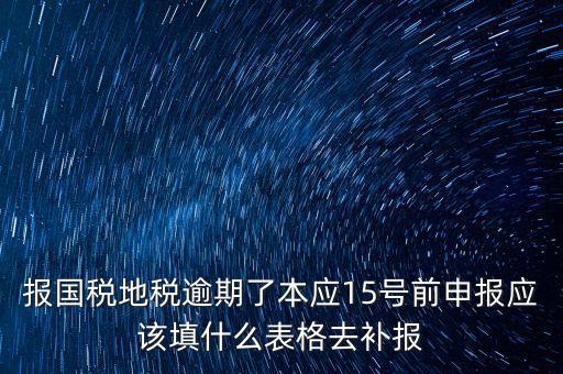 補錄國地稅信息都錄什么，報國稅地稅逾期了本應(yīng)15號前申報應(yīng)該填什么表格去補報