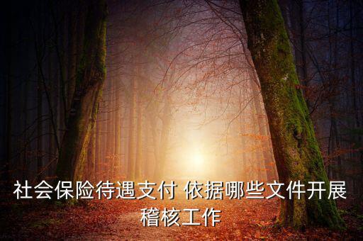 聯(lián)合稽查工作應遵循什么，稅務稽查工作底稿必須包括哪些內(nèi)容