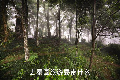 稅務(wù)局的信仰是什么，道德模范有哪些