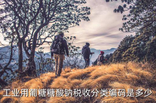 稅收分類編碼選擇錯誤的是什么，家用墻壁開關(guān)在稅收分類編碼里屬于哪類