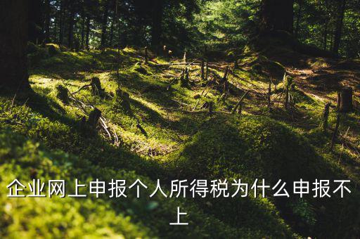 為什么稅務(wù)申報不了了，為什么申報不上