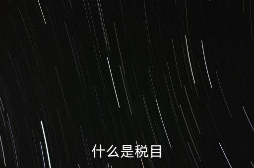 什么是稅法 文化，中華人民共和國地稅法