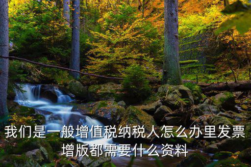 發(fā)票增版申需要什么意思，我們是一般增值稅納稅人怎么辦里發(fā)票增版都需要什么資料
