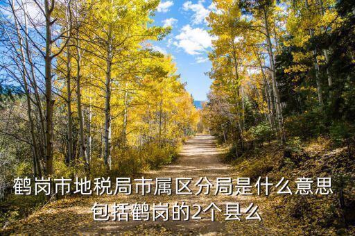 片區(qū)稅務分局是什么，陽宗海片區(qū)屬于哪個稅務局