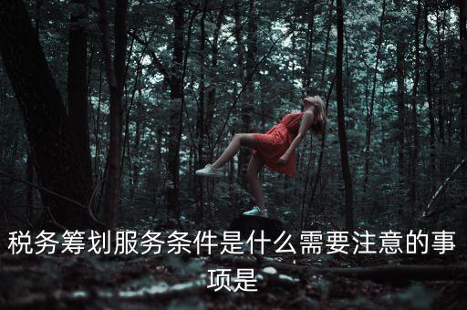 稅務籌劃服務條件是什么需要注意的事項是