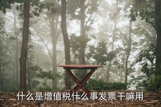 什么是增值稅銷項(xiàng)發(fā)票嗎，什么是增值稅什么事發(fā)票干嘛用