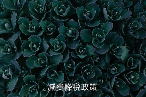 做好6項(xiàng)減稅政策的內(nèi)容是什么，減費(fèi)降稅政策