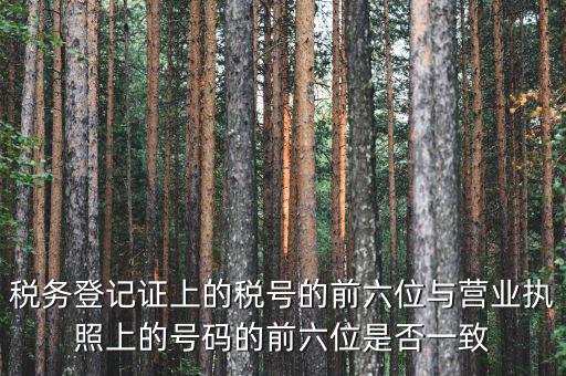 稅號前六位代表什么，納稅識別號前六位數(shù)為140111是什么意思