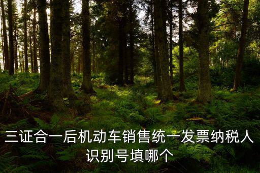 統(tǒng)一納稅識別號是什么，三證合一后機動車銷售統(tǒng)一發(fā)票納稅人識別號填哪個