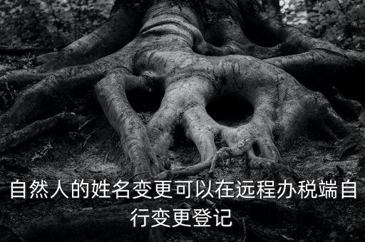 自然人的姓名變更可以在遠程辦稅端自行變更登記