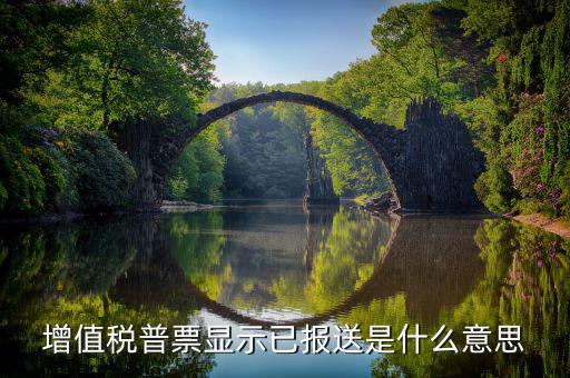 什么是報送報告，什么是報送審計