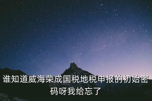 申報地稅的密碼是什么，徐州地稅網(wǎng)上申報的初始密碼是多少啊