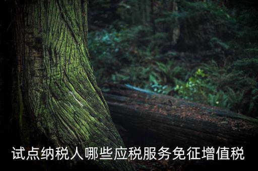 家政服務(wù)免增值稅什么業(yè)務(wù)免，家政服務(wù)企業(yè)的什么收入可以免征增值稅