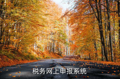 什么是稅收網(wǎng)報軟件，稅務(wù)網(wǎng)上申報系統(tǒng)