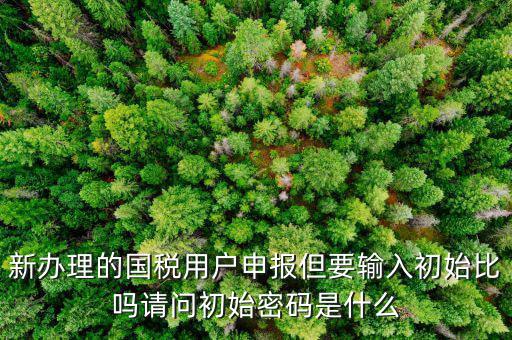初始申報密碼是什么，小關(guān)稅務(wù)所 新企業(yè) 網(wǎng)上納稅申報初始密碼是什么
