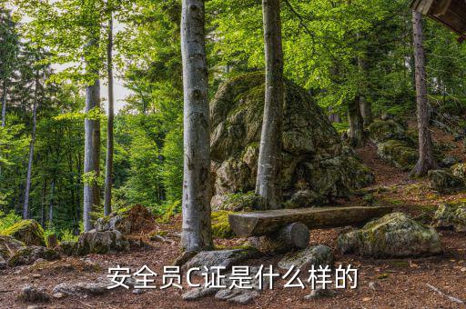 數(shù)字人事是什么樣的，數(shù)字人事是什么