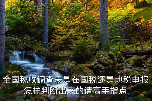 全國稅收調(diào)查表是在國稅還是地稅申報(bào)怎樣判斷出來的請高手指點(diǎn)