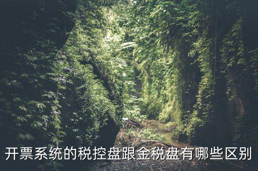 金稅盤(pán)和稅控盤(pán)什么區(qū)別，金稅盤(pán)和稅控盤(pán)開(kāi)出的發(fā)票有什么區(qū)別