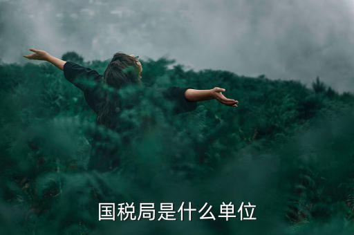 國(guó)稅局是什么單位，國(guó)稅局的具體解釋是什么