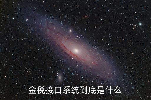 金稅售后是做什么的，鞍山金稅科技有限公司是干什么工作