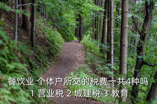 個體餐飲業(yè)交什么稅，餐飲業(yè) 個體戶所交的稅費一共4種嗎 1 營業(yè)稅 2 城建稅 3 教育