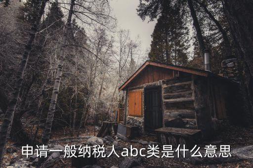 稅務等級b是什么意思，企業(yè)所得稅A類和B類的區(qū)別是什么