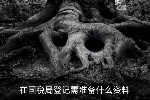 稅務(wù)登記備什么，在國稅局登記需準(zhǔn)備什么資料