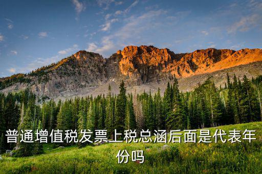 稅總涵2016代表什么意思，稅總財行便函201616號保險公司開具保險發(fā)票車船稅只在備注