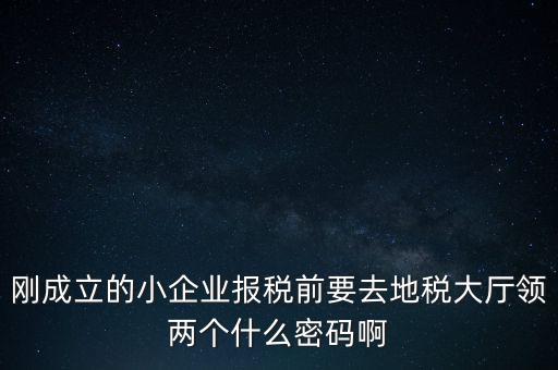 繳稅服務(wù)廳口令輸什么，剛成立的小企業(yè)報(bào)稅前要去地稅大廳領(lǐng)兩個(gè)什么密碼啊